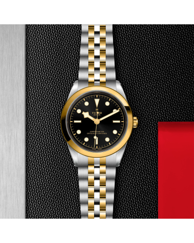 Tudor Black Bay 31/36/39/41 S&G 41 mm steel case, Steel and yellow gold bracelet (watches)